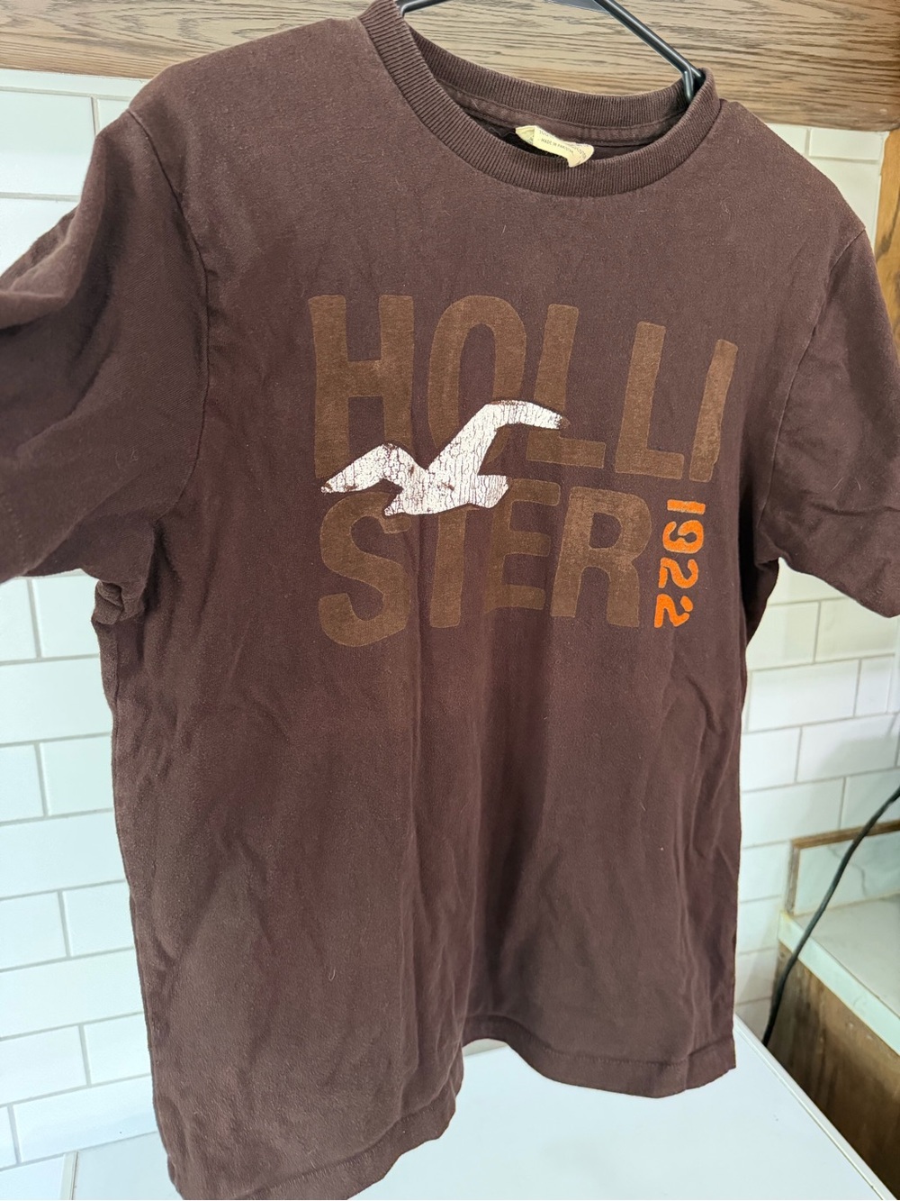 Hollister Brown Short-Sleeve Logo Tee with White Seagull and Orange Accents
